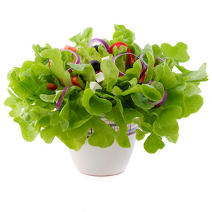 在室内植物花盆里的希腊沙拉。白色背景