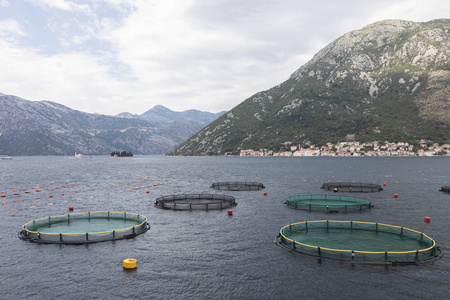 鱼类养殖和养殖场网箱