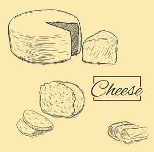 奶酪有机牛奶黄油新鲜食物矢量手绘插画集