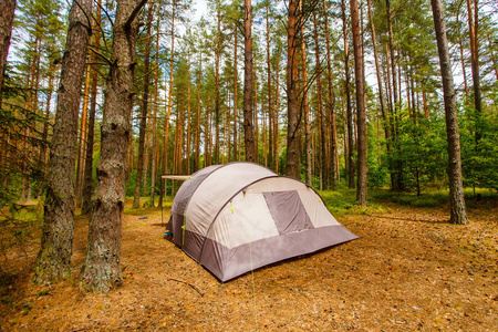 松树林家庭露营帐篷