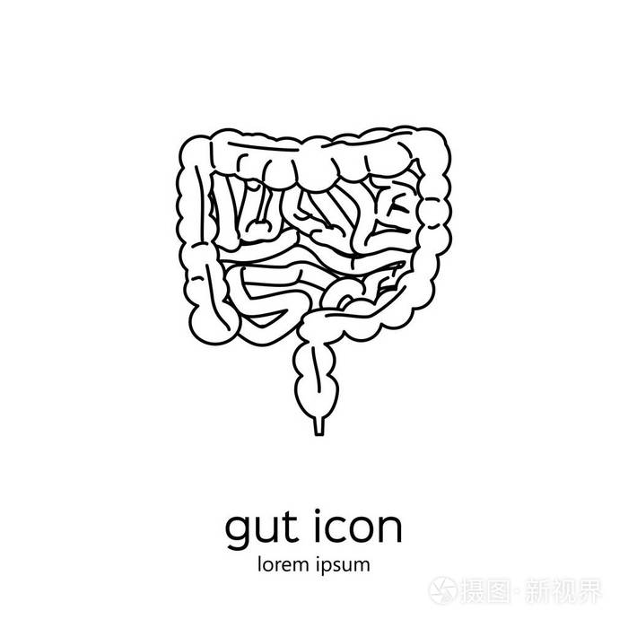肠道人体消化系统插画-正版商用图片0rb7cb-摄图新视界