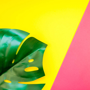 热带丛林棕榈龟背竹叶子在明亮的正方形黄色和粉红色双色调纸背景。暑期创意平面布局概念模板文本