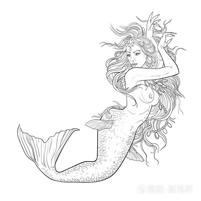 美丽的美人鱼,在白色背景上的素描