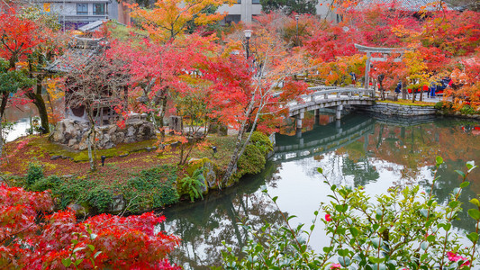 日本京都 Eikando 禅林寺寺