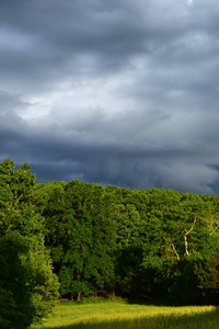 太阳 lumenates 的树木和牧场在即将来临的风暴释放它的愤怒短暂的时刻