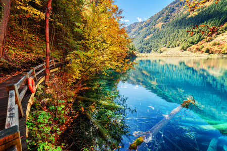 美丽的湖景，秋天的树林间有蔚蓝的水