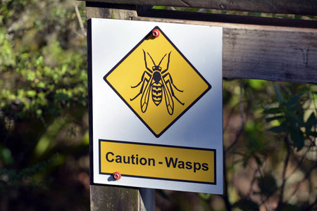 警告黄蜂标志和标志上的围栏在朗伊托托岛, 新西兰。复制空间