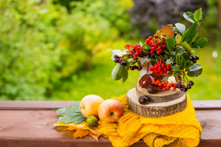 水果和坚果, 黄色的围巾在木桌上户外, 舒适的秋天. 还有苹果萝丝浆果栗子和橡子的生活。明媚的秋天依然带着秋天的礼物生活。感