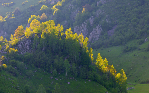 在夏天的早晨Fundatura Ponorului，罗马尼亚山风景