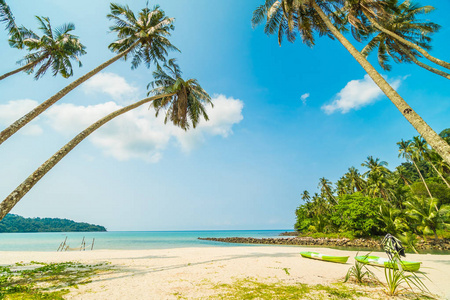 美丽的热带海滩和海与椰子棕榈树在天堂海岛为旅行和假期