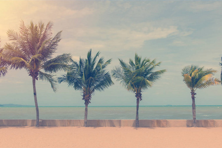 泰国地处热带的海滩椰子棕榈树