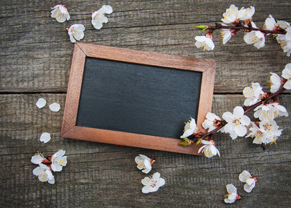 春杏开花和黑板