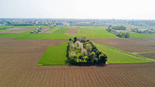 自然和风景 字段 栽培 绿草 农村 农业 土路鸟瞰图