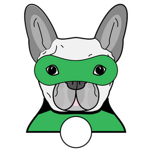 超级英雄符号作为法国斗牛犬字符在黑色 灰色 绿色与白色背景上的面具