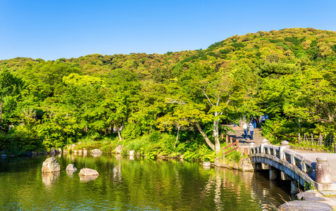 在日本京都的圆山公园