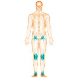 人体骨关节疼痛