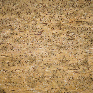 抽象纹理旧木地板