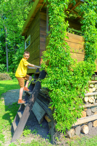 穿着黄色 t恤的年轻男孩在花园里玩树房子