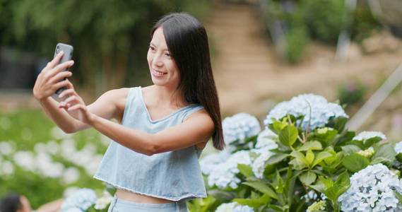 在绣球花领域的手机女性拍照