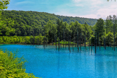 温泉城外的蓝色池塘是白金温泉镇的命名后, 是深蓝色的, 它欠自然矿物溶解在水中