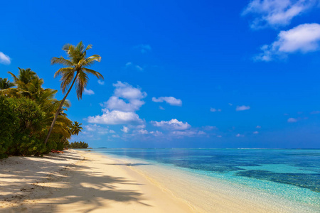 马尔代夫的热带岛屿