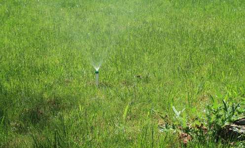 灌溉系统浇绿草