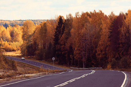 公路的秋景