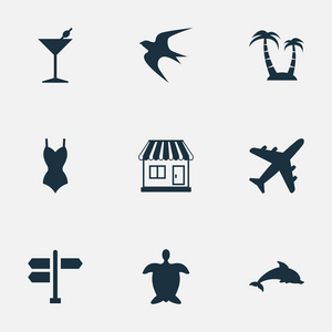 矢量图组的简单海滩图标。元素棕榈 哺乳动物鱼 飞机和其他同义词海滩 聚会和旅行