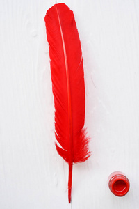 红色的羽毛和油墨