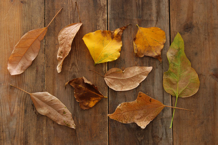 顶视图的秋叶在木制带纹理的背景图像