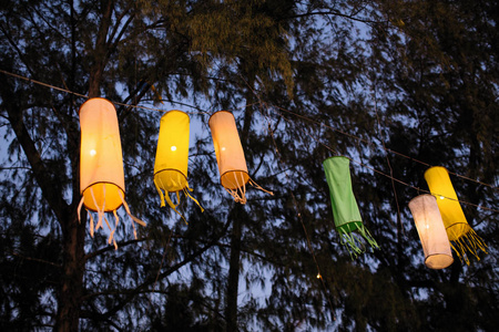 晚上在树上挂着中国灯笼