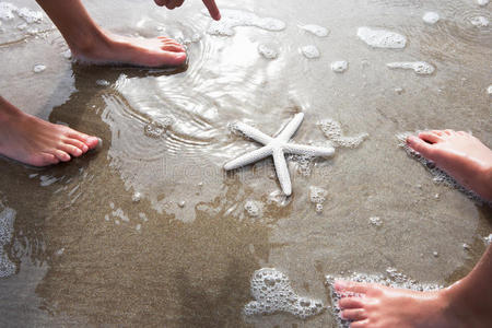 孩子们在海滩上发现海星