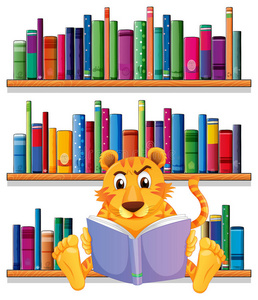 一只愤怒的老虎在书架前看书