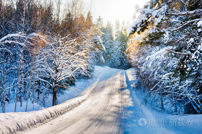 冬季道路冬季平原冬季森林景观冬季景观冬季的雪林冬季景观冬天在森林