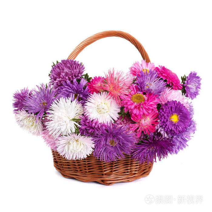下载小样发票合同问题/举报紫罗兰大丽花美丽的圣诞红球在杉树上圣诞