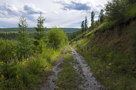 山里一条狭窄的土路。