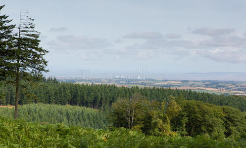 沼泽地 丘陵 小山 英语 草地 树叶 权力 森林 英国 乡村