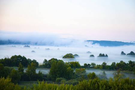 清晨, 雾中有树木的美丽风景。雾的早晨。空中摄影