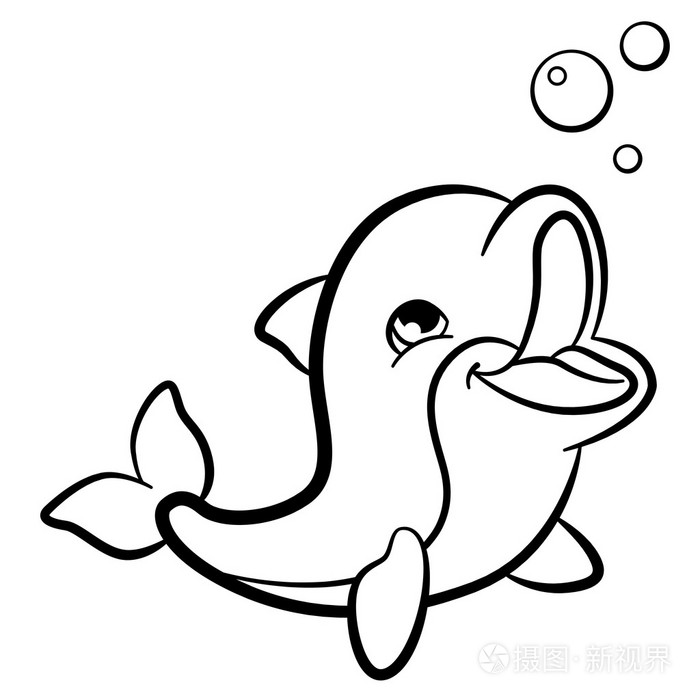 海洋野生动物.可爱的小宝贝的小海豚