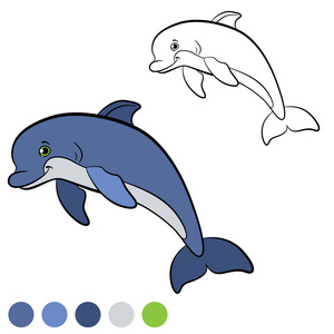 彩页。我的颜色  海豚。可爱的小海豚跳跃和
