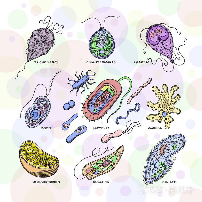 病毒载体细菌感染病毒样疾病例证细菌微生物组微生物或单细胞细菌在