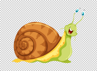 在透明背景上的绿色蜗牛