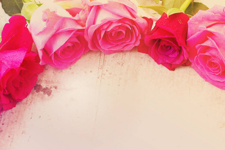粉红色的新鲜玫瑰