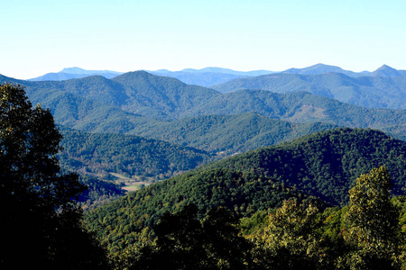 蓝色山脊山在阿什维尔, 北卡罗来纳。皮斯加国家森林。山脊