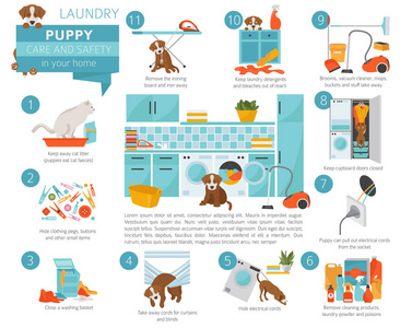小狗照顾和安全在你的家。洗衣。宠物狗训练图表设计。矢量插图