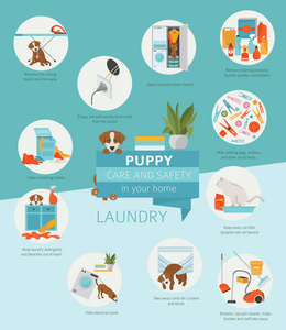 小狗照顾和安全在你的家。洗衣。宠物狗训练图表设计。矢量插图