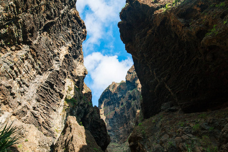 风景秀丽的山 Masca 峡谷, 特内里费岛, 加那利群岛。自然背景