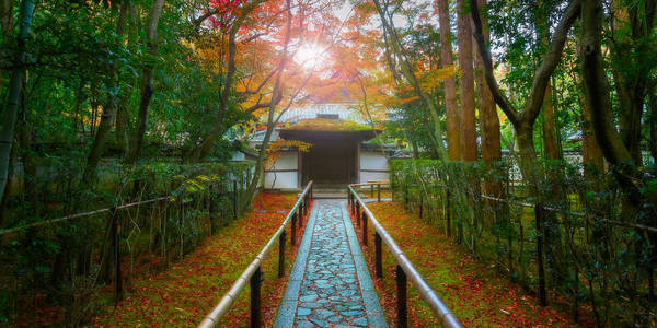 在京都，日本筝在寺秋艳 