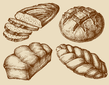 面包设置手绘