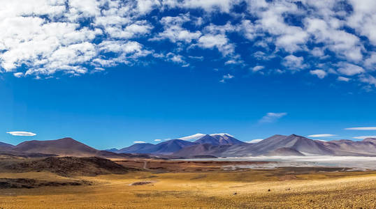 高原泻湖 Salar de 距骨在智利的圣佩德罗德阿塔卡马